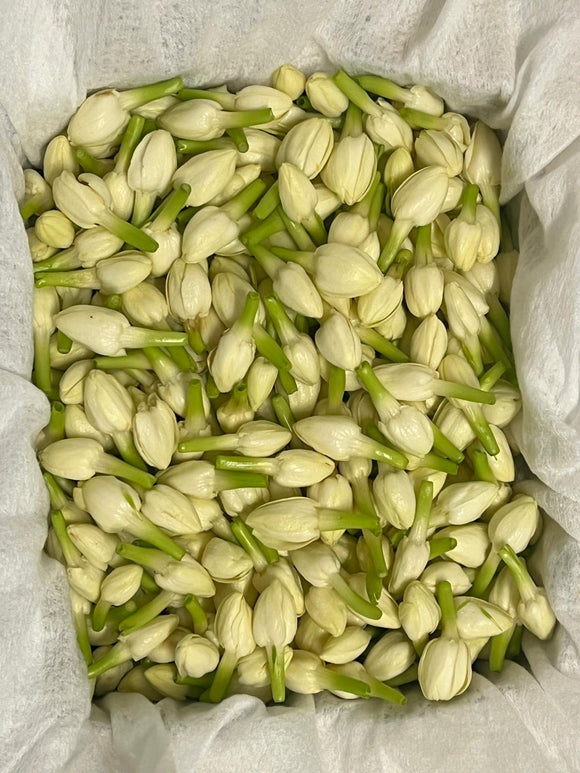 Fresh Jasmine Flowers