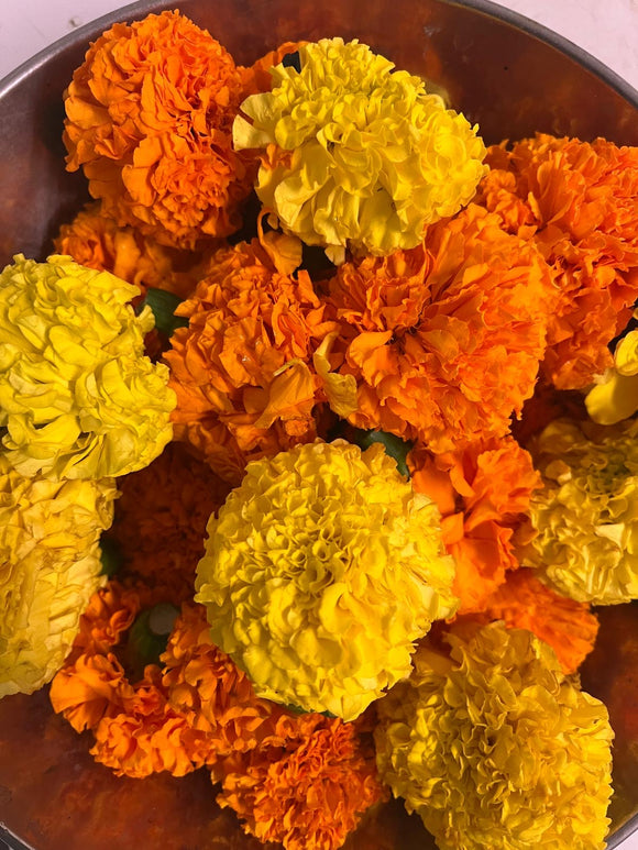 Fresh Marigold Flowers
