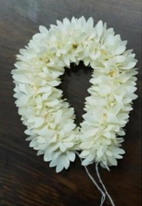 Artificial Jasmine