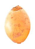 Red Tender Coconut