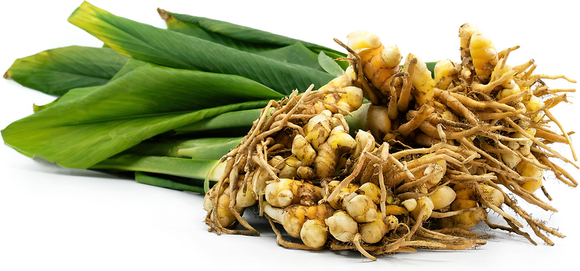 Fresh Turmeric with Leaf