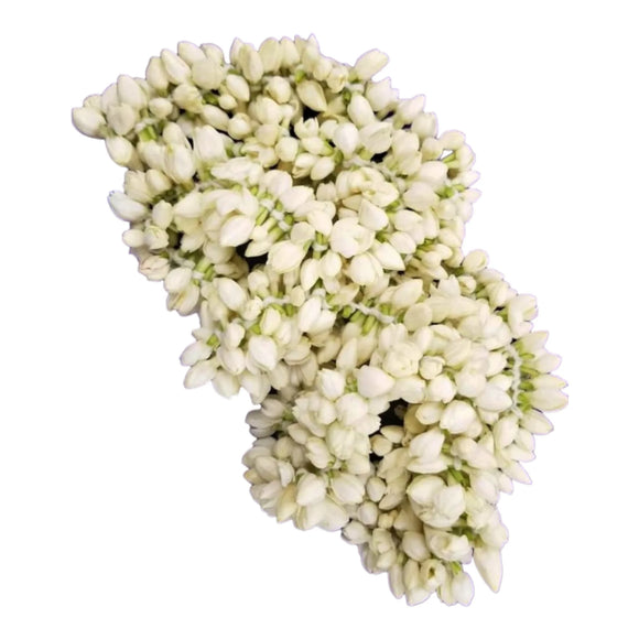 Fresh Jasmine Flowers String