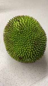 Raw Jackfruit