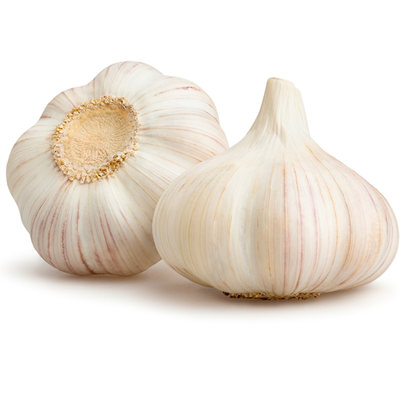 Fresh whole Garlic